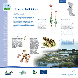 Kiekpadd: Wittemoor