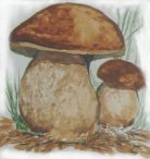 Steinpilz