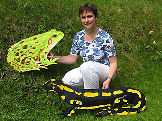 Amphibien-Attrappen