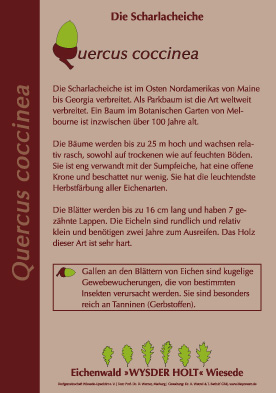 Artentafel Eichenwald Wysder Holt, Wiesede