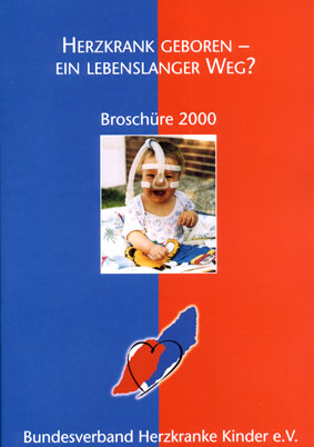 BVHK-Broschüre 2000 - Titelbild