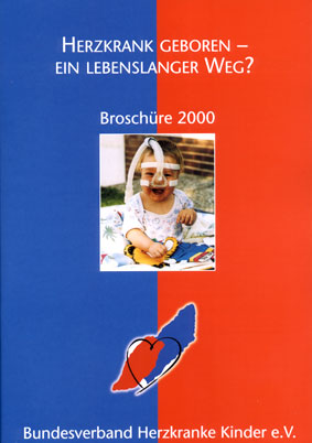 BVHK-Brosch&uuml;re 2000 - Titelbild