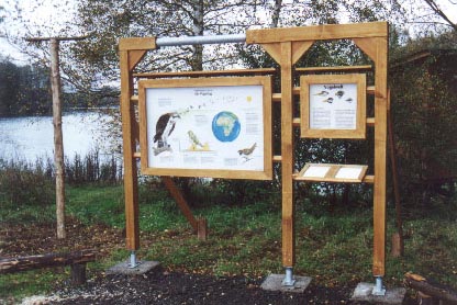 Vogelwelt im Herbst