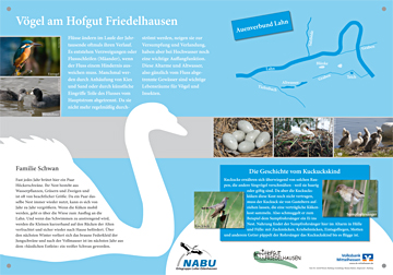 Hofgut Friedelhausen - Vögel