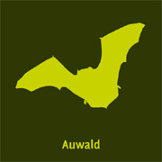 Symbol Fledermaus für Auwald