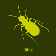 Symbol Käfer für Düne