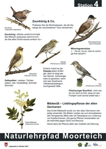 Tafel 4
