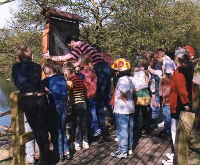 Vogelkoje Meerum