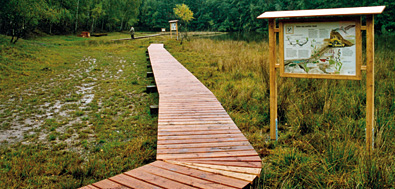 Naturwissen auf neuen Wegen